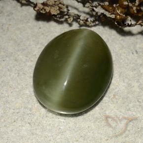 Actinolite œil de chat Vert foncé naturelle ovale, 5.83 ct, Translucide