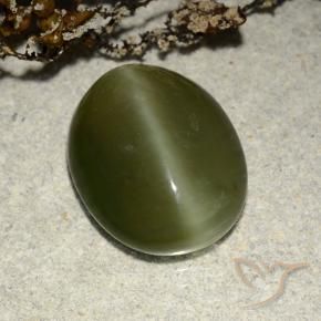 Actinolite œil de chat Vert foncé naturelle ovale, 5.83 ct, Translucide
