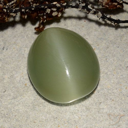 7.32ct Naturel Vert chaud Actinolite œil de chat, ovale, Translucide