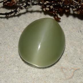 Actinolite œil de chat Vert chaud naturelle ovale, 7.32 ct, Translucide