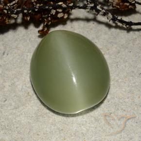 Actinolite œil de chat Vert chaud naturelle ovale, 7.32 ct, Translucide