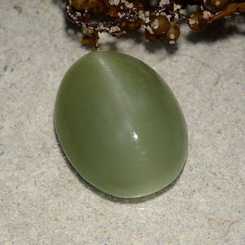 5.84ct Naturel Vert terreux Actinolite œil de chat, ovale, Translucide