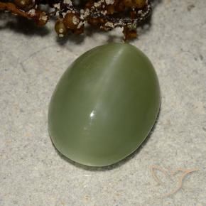 Actinolite œil de chat Vert terreux naturelle ovale, 5.84 ct, Translucide