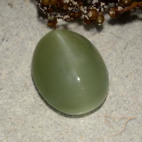 Actinolite œil de chat Vert terreux naturelle ovale, 5.84 ct, Translucide
