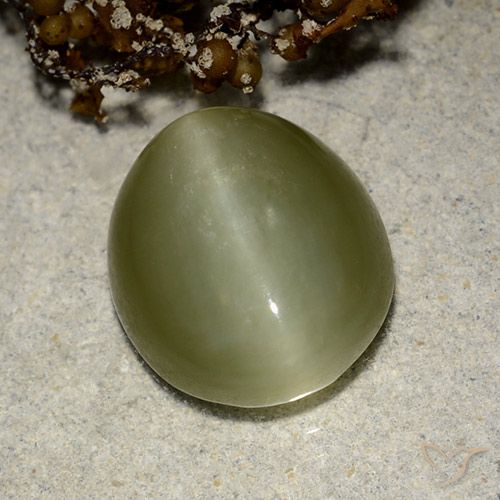 6.75ct Naturel Vert chaud Actinolite œil de chat, ovale, Translucide