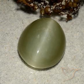 Actinolite œil de chat Vert chaud naturelle ovale, 6.75 ct, Translucide