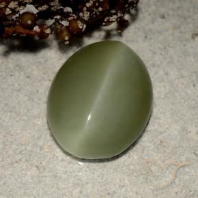 Actinolite cat's eye vert naturelle coupe ovale, 5,41 ct, translucide