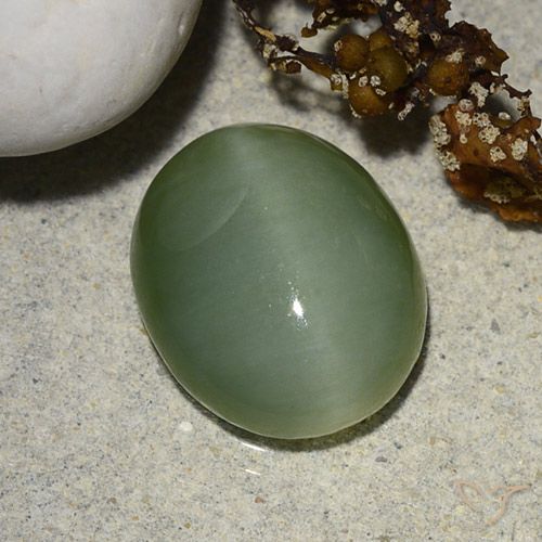 5.48ct Naturel Gris vert Actinolite œil de chat, ovale, Translucide