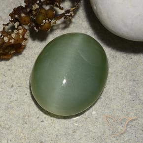 Actinolite œil de chat Gris vert naturelle ovale, 5.48 ct, Translucide