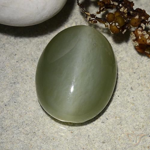 8.99ct Naturel Vert mousseux Actinolite œil de chat, ovale, Translucide