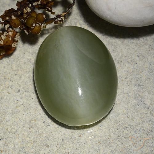 Actinolite œil de chat Vert mousseux naturelle ovale, 8.99 ct, Translucide