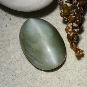 Actinolite cat's eye vert naturelle coupe ovale, 4,96 ct, translucide