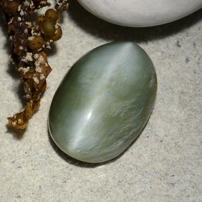 Actinolite cat's eye vert naturelle coupe ovale, 4,96 ct, translucide