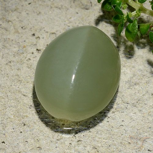 6.57ct Naturel Vert grisâtre Actinolite œil de chat, ovale, Translucide