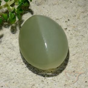 Actinolite œil de chat Vert grisâtre naturelle ovale, 6.57 ct, Translucide