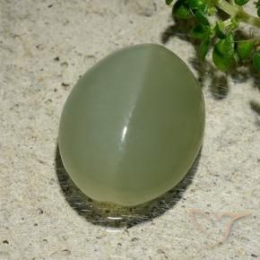 Actinolite œil de chat Vert grisâtre naturelle ovale, 6.57 ct, Translucide