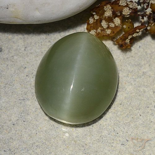 5.93ct Naturel Vert terreux Actinolite œil de chat, ovale, Translucide