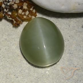 Actinolite œil de chat Vert terreux naturelle ovale, 5.93 ct, Translucide
