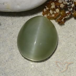 Actinolite œil de chat Vert terreux naturelle ovale, 5.93 ct, Translucide
