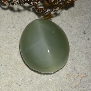 Actinolite œil de chat Vert moyen naturelle ovale, 7.31 ct, Translucide