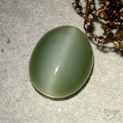 5.91ct Naturel Vert terreux Actinolite œil de chat, ovale, Translucide