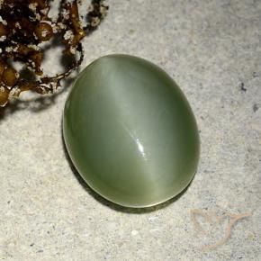 Actinolite œil de chat Vert terreux naturelle ovale, 5.91 ct, Translucide