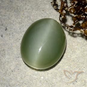Actinolite œil de chat Vert terreux naturelle ovale, 5.91 ct, Translucide