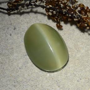 Actinolite cat's eye vert naturelle coupe ovale, 4,89 ct, translucide