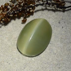 Actinolite cat's eye vert naturelle coupe ovale, 4,89 ct, translucide