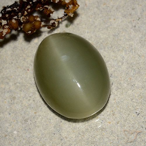 7.05ct Naturel Vert foncé Actinolite œil de chat, ovale, Translucide
