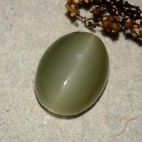 Actinolite œil de chat Vert foncé naturelle ovale, 7.05 ct, Translucide