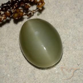 Actinolite œil de chat Vert foncé naturelle ovale, 7.05 ct, Translucide