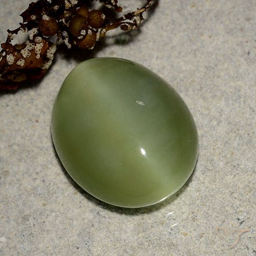 Actinolite œil de chat Vert moyen naturelle Coupe ovale, 6.09 ct, Translucide