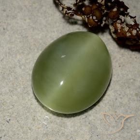 Actinolite œil de chat Vert moyen naturelle Coupe ovale, 6.09 ct, Translucide