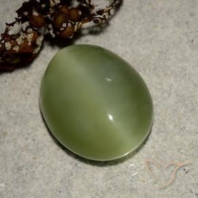 Actinolite œil de chat Vert moyen naturelle Coupe ovale, 6.09 ct, Translucide