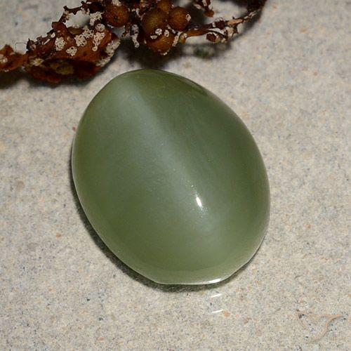 6.88ct Naturel Vert moyen Actinolite œil de chat, ovale, Translucide