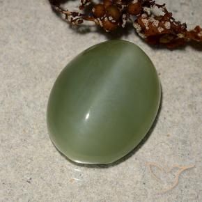 Actinolite œil de chat Vert moyen naturelle ovale, 6.88 ct, Translucide