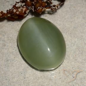 Actinolite œil de chat Vert moyen naturelle ovale, 6.88 ct, Translucide