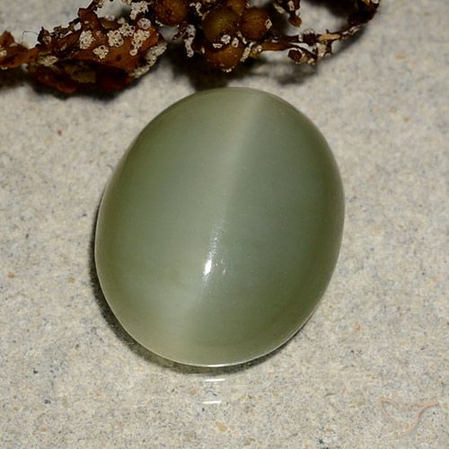 5.10ct Naturel Vert jaunâtre Actinolite œil de chat, ovale, Translucide