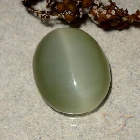 Actinolite œil de chat Vert jaunâtre naturelle ovale, 5.10 ct, Translucide