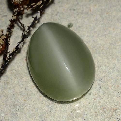 Shop Loose Actinolite Cat's Eye