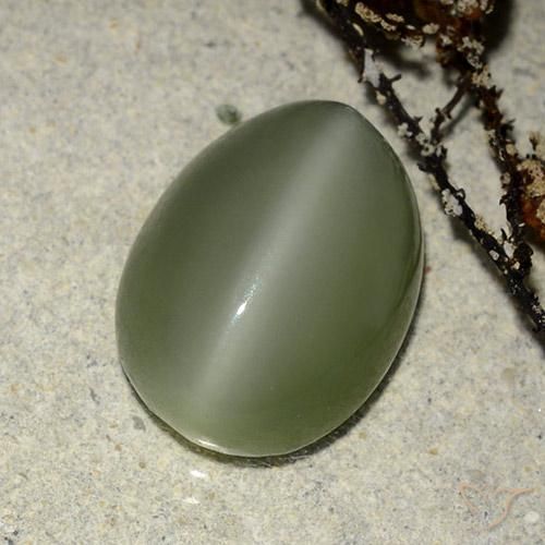 Actinolite œil de chat Vert chaud naturelle ovale, 6.84 ct, Translucide