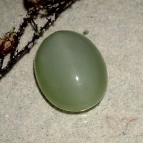Actinolite œil de chat Vert chaud naturelle ovale, 6.99 ct, Translucide