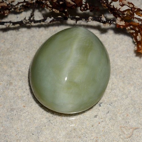 6.52ct Naturel Vert chaud Actinolite œil de chat, ovale, Translucide
