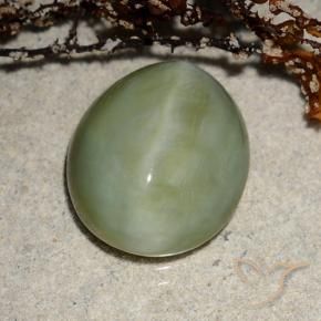 Actinolite œil de chat Vert chaud naturelle ovale, 6.52 ct, Translucide