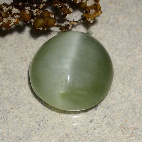 4.90ct Naturel Vert chaud Actinolite œil de chat, ovale, Translucide
