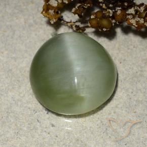 Actinolite œil de chat Vert chaud naturelle ovale, 4.90 ct, Translucide
