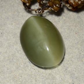 Actinolite cat's eye vert naturelle coupe ovale, 4,69 ct, translucide