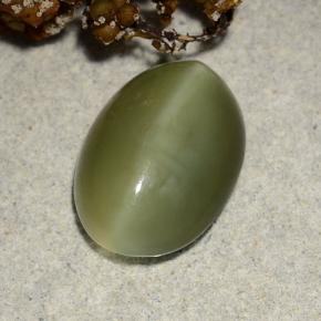 Actinolite cat's eye vert naturelle coupe ovale, 4,69 ct, translucide