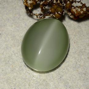 Actinolite œil de chat Vert terreux naturelle Coupe ovale, 6.10 ct, Translucide